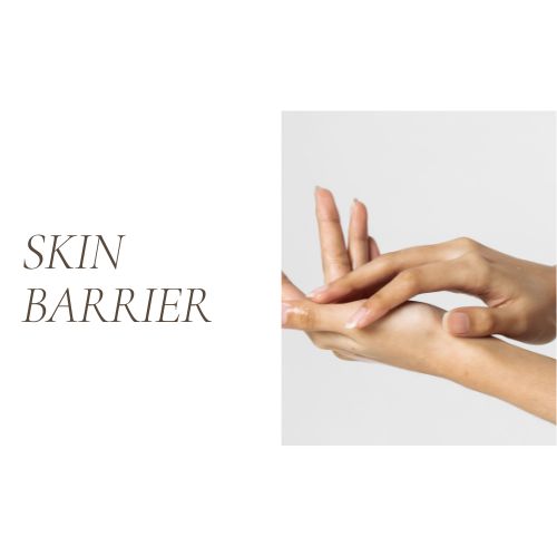 Skin Barrier